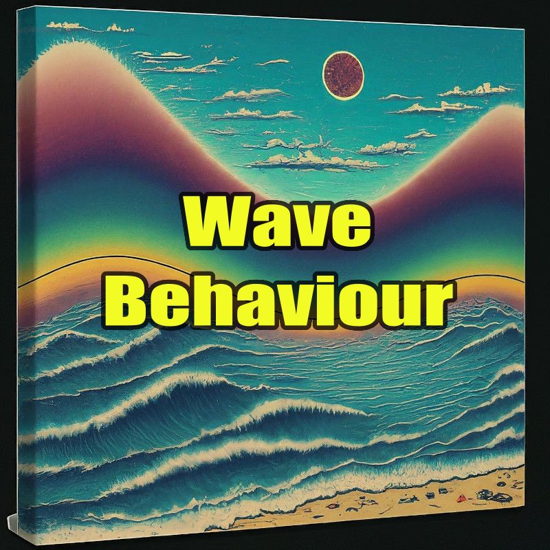 Wave behaviour